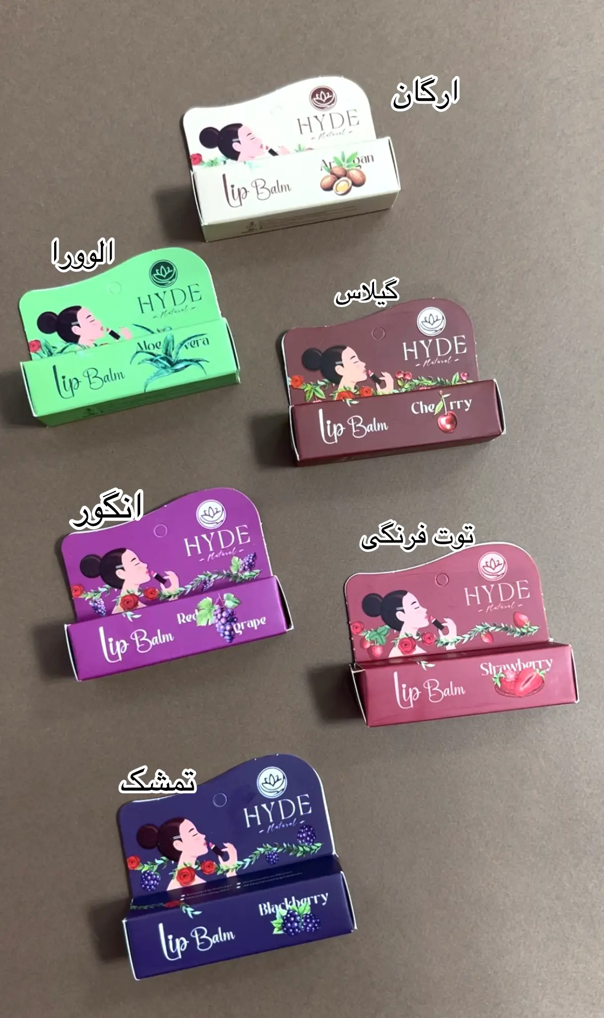 بالم لب هاید